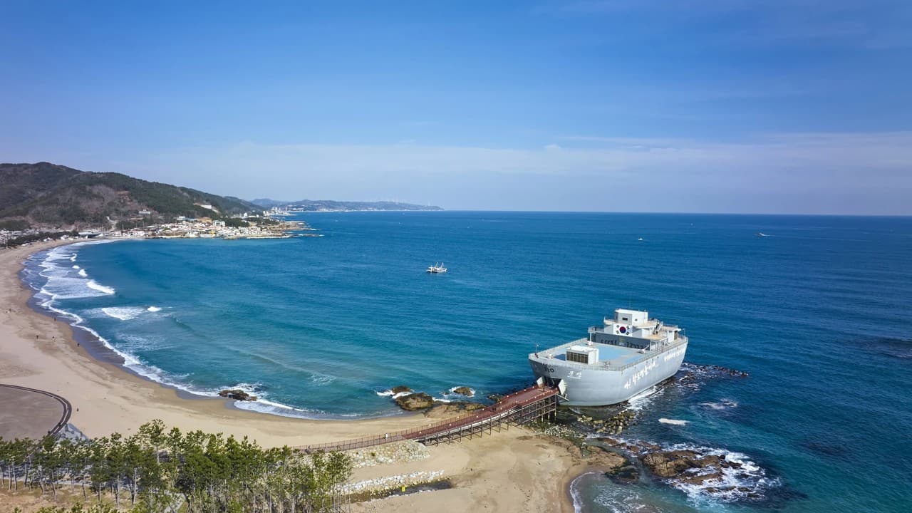 영덕시장 전경